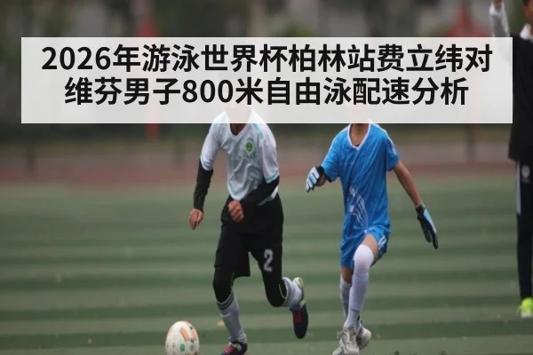 2026年游泳世界杯柏林站费立纬对维芬男子800米自由泳配速分析